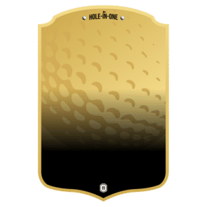 Hole in One