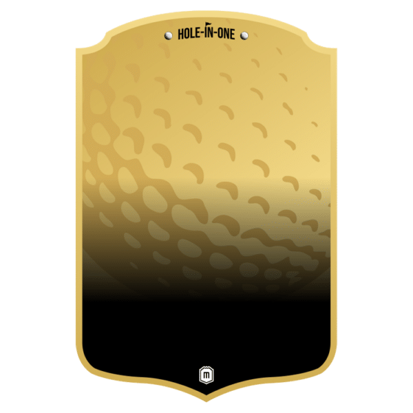Hole in One